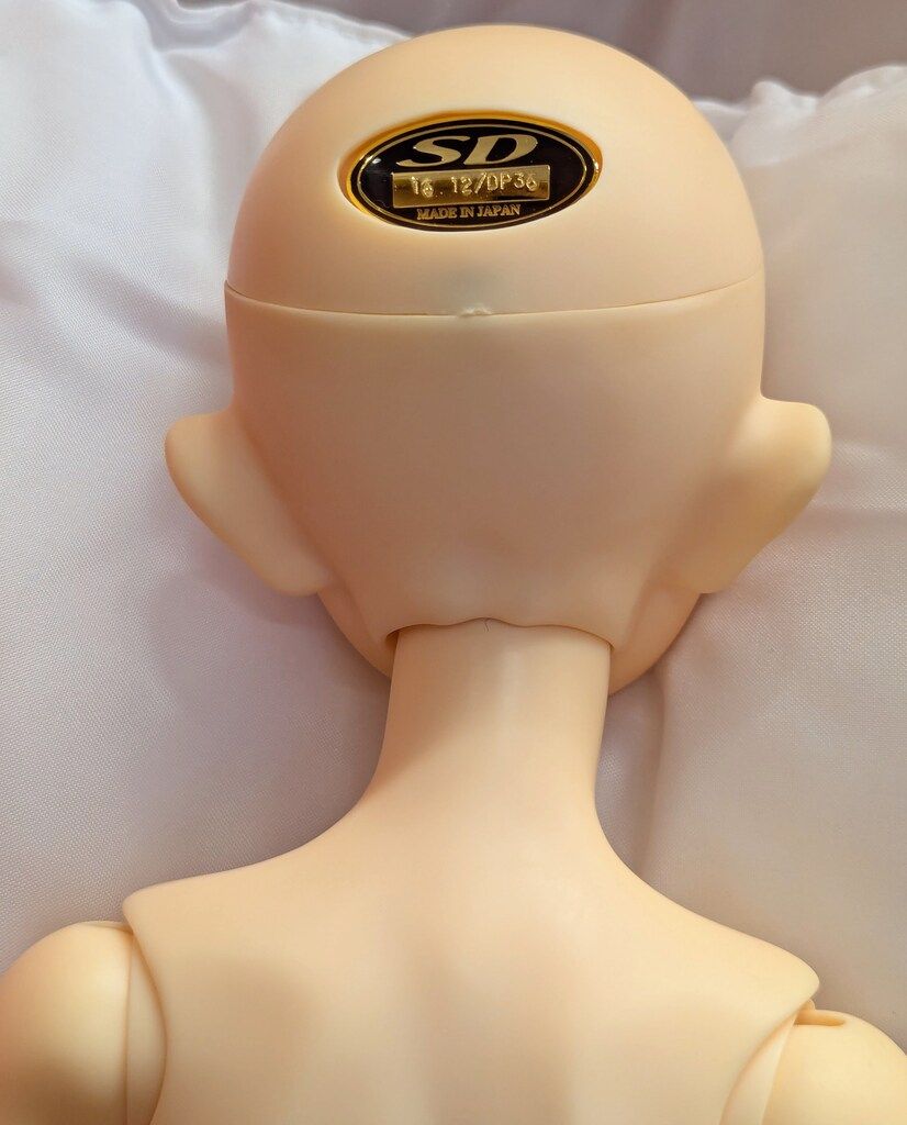 ボークス SDGr女の子 若草物語 ジョー マーチ 店頭 ウェブ抽選販売分 USTAUSTRALIA_COM_AU