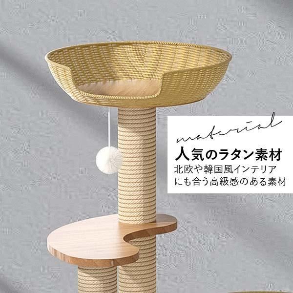 猫 ねこ