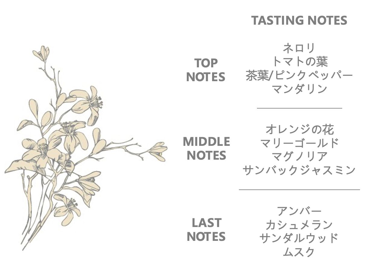 YOUFIRST(ユーファースト) Eau de Toilette(オードトワレ)_ 100ml