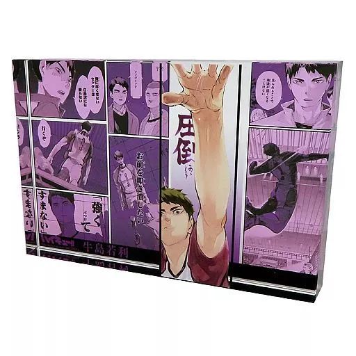 ハイキュー　バースデー　アクリルブロック　heroes 牛島若利　BC3 ハイキュー バースデー アクリルブロック heroes 牛島若利 BC3