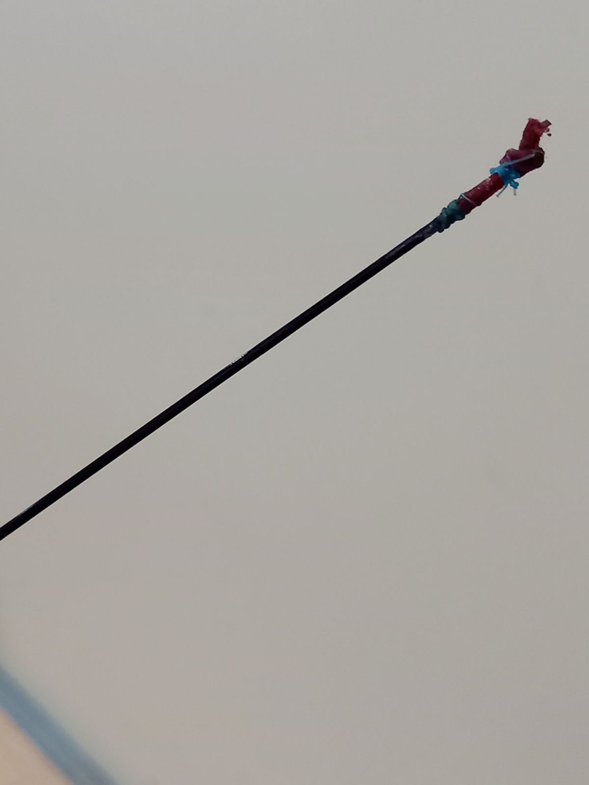 Daiwa ダイワ 二代目 枯法師 18尺 竿袋つき