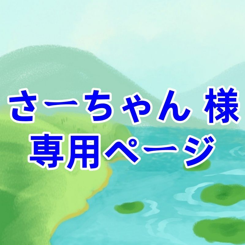 さーちゃん 様 専用ページ - メルカリ
