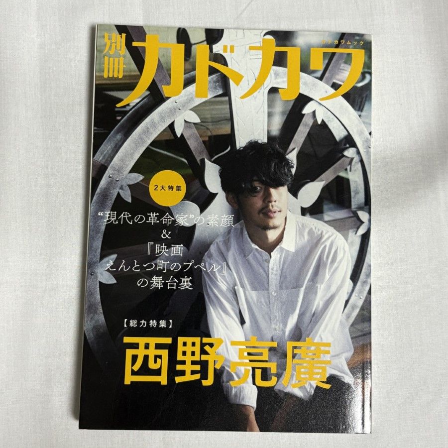 別冊カドカワ Novelbright 総力特集 別冊カドカワ 総力特集 Novelbright: 本・コミック・雑誌