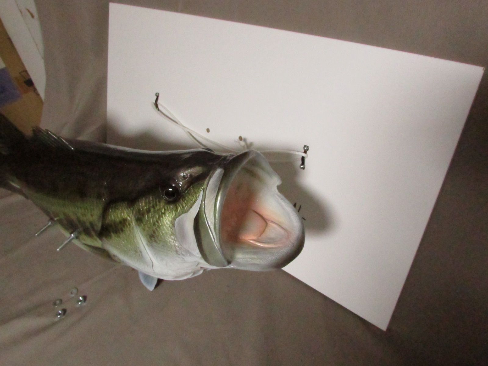 ハンドメイド ６２ｃｍブラックバス壁掛け 釣り フィギュア 魚模型