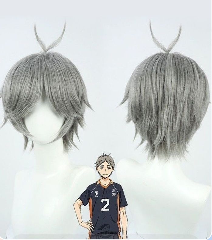 Tokyo Femme】ハイキュー!! 菅原孝支 コスプレ用 ウィッグ 假发