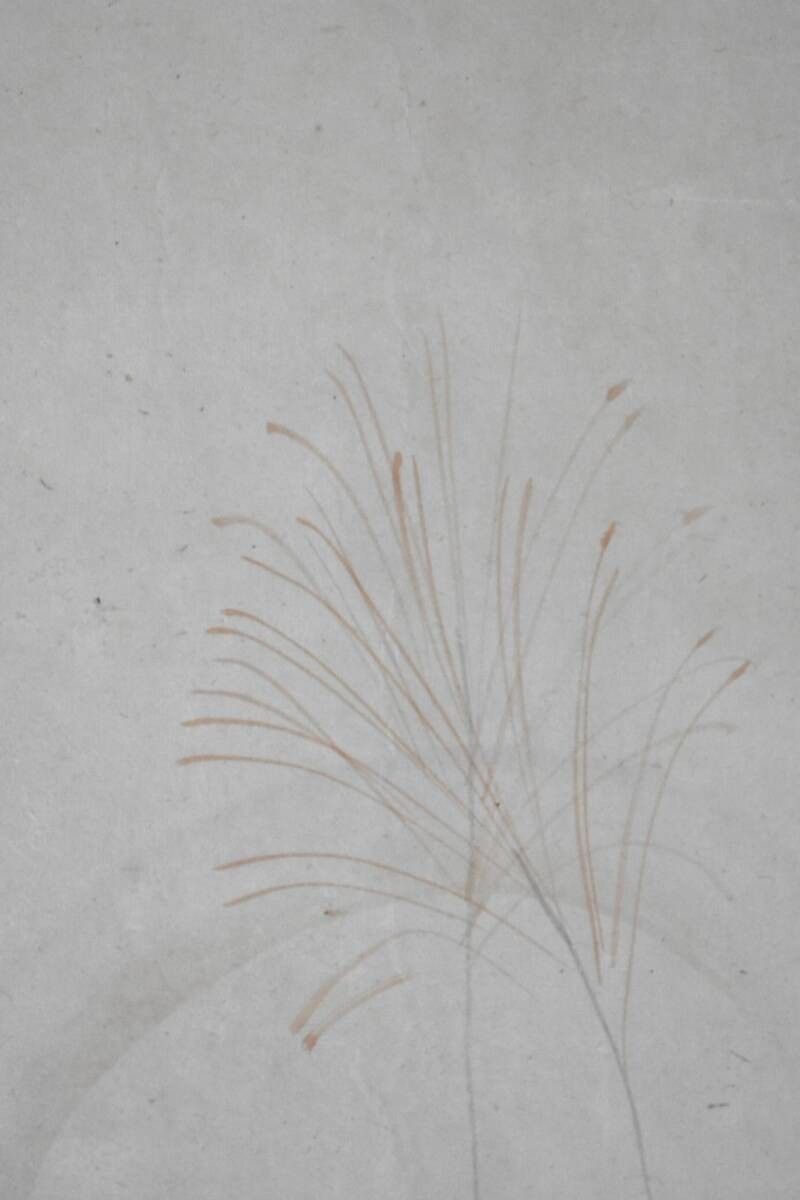 真作保証 池上秀畝肉筆紙本 掛軸 署名落款入 画面124×30cm 函入り 真作保証 池上秀畝肉筆紙本 掛軸 署名落款入 画面124×30cm 函入り