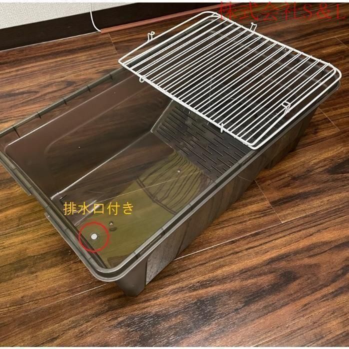 陶器製 染付 唐草 亀 タートル 親子 蓋物 小物入れ 大型サイズ 陶器製 染付 唐草 亀 タートル 親子 蓋物 小物入れ 大型サイズ