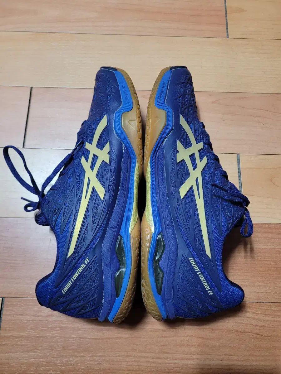  asics アシックス COURT CONTROL FF バドミントンシューズ 290 mm その他 バドミントン