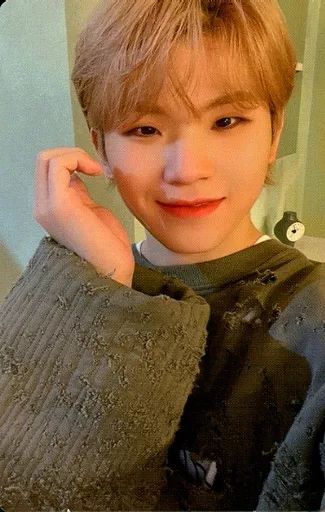 中古】コレクションカード(男性) 119：SEVENTEEN/WOOZI(ウジ)/CD