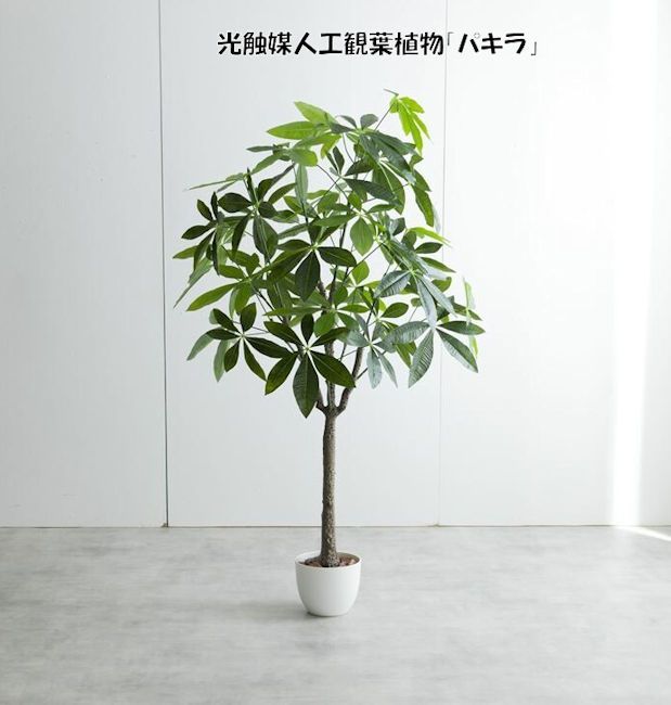 送料無料 光触媒人工観葉植物パキラ高さ１５０ｃｍ 造花 人工植物 フェイクグリーン（196）