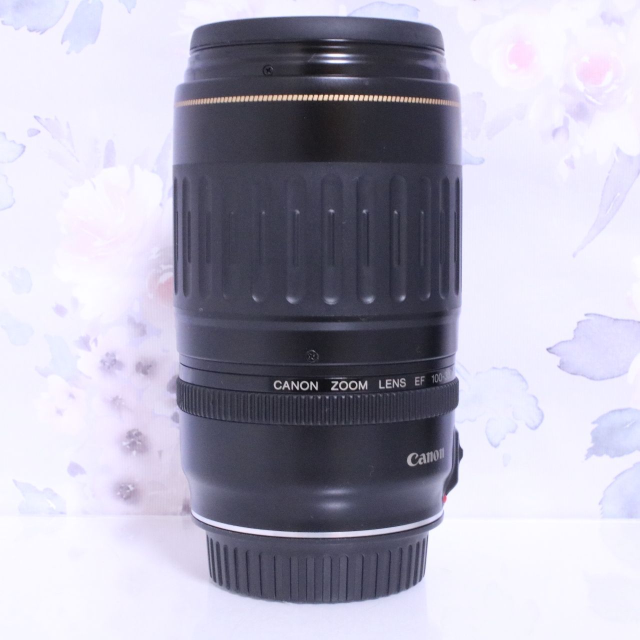 Canon キヤノン EFレンズ 100-300mm F4.5-5.6 USM☆イベントやスポーツ