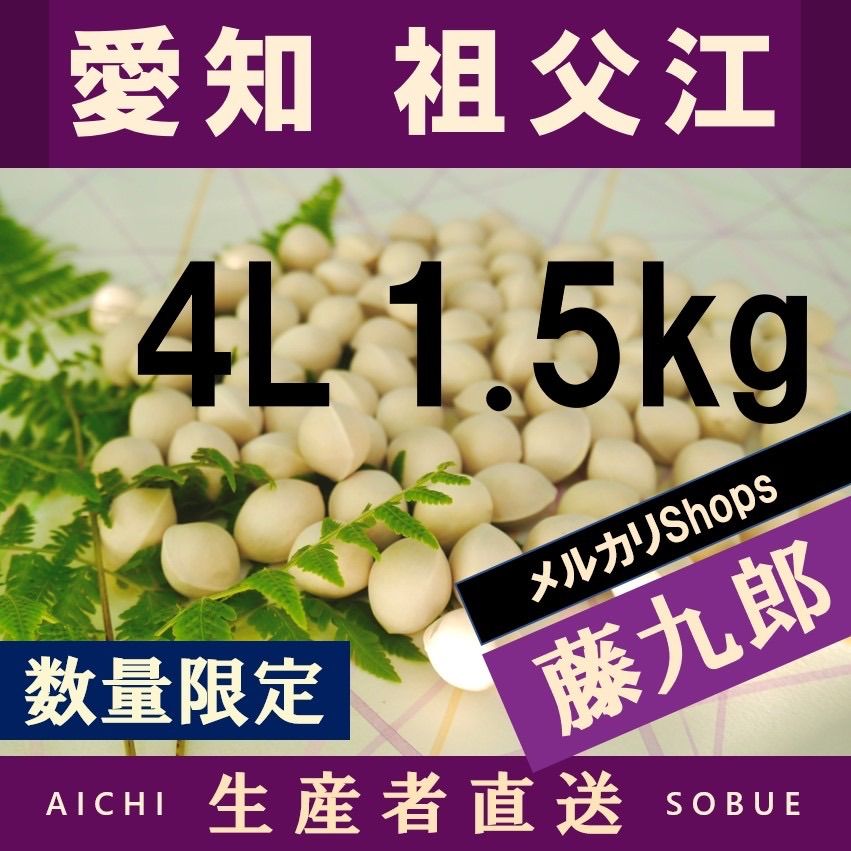 2023年新物 藤九郎 銀杏 生産者直送 祖父江産 4L 1.5kg - メルカリ