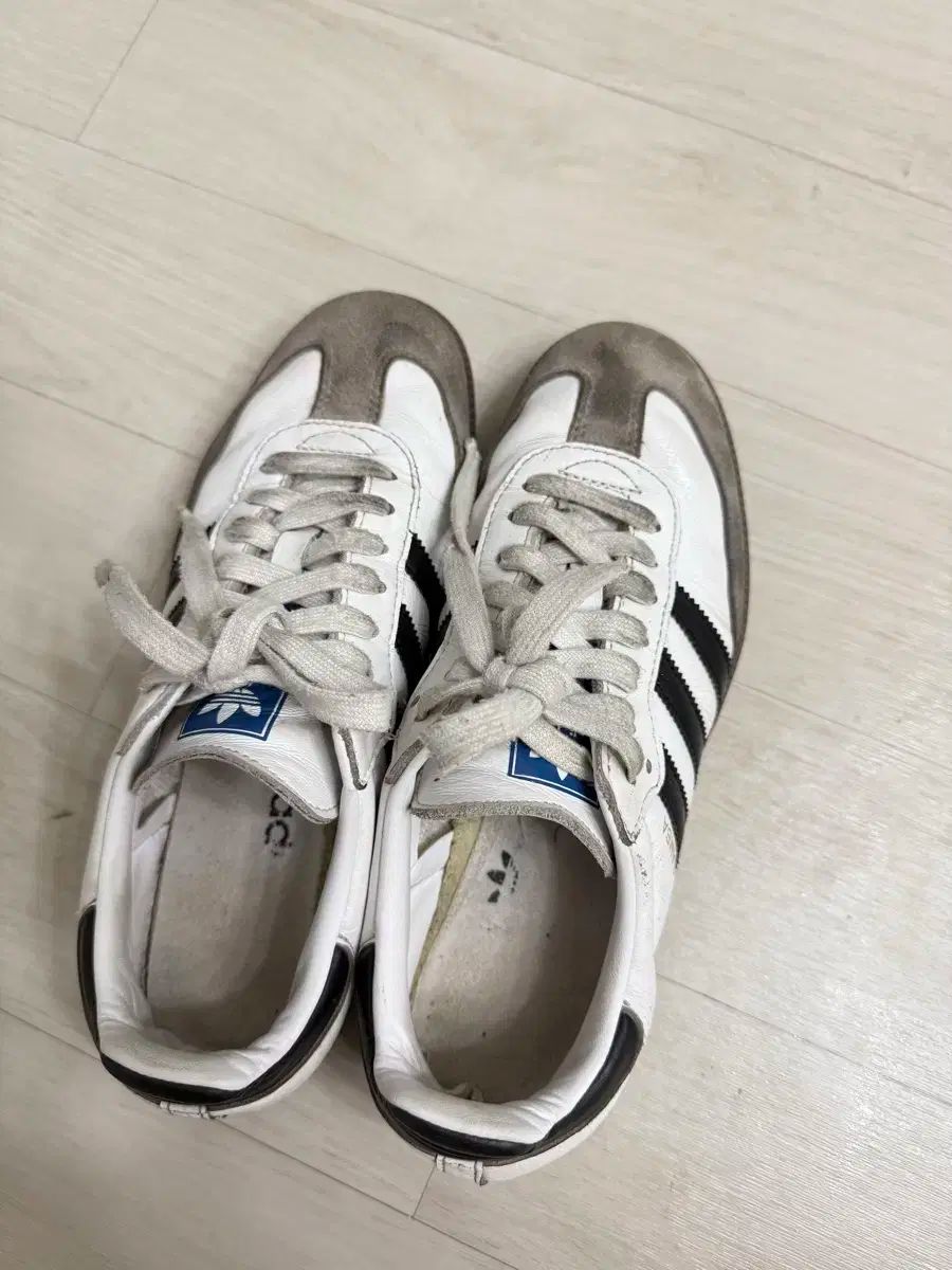 adidas アディダス サンバ 245 Kream