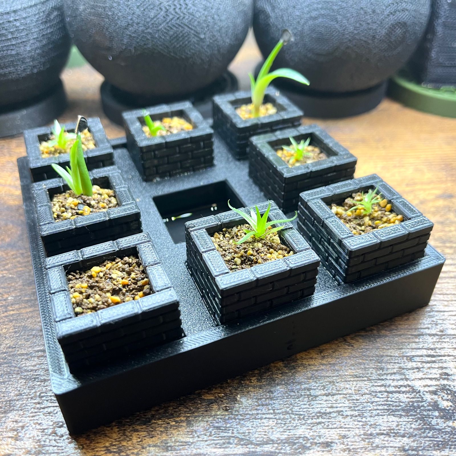 播種キット / 底面給水式 / 初期生育用 / 3Dプリンター鉢 - メルカリ