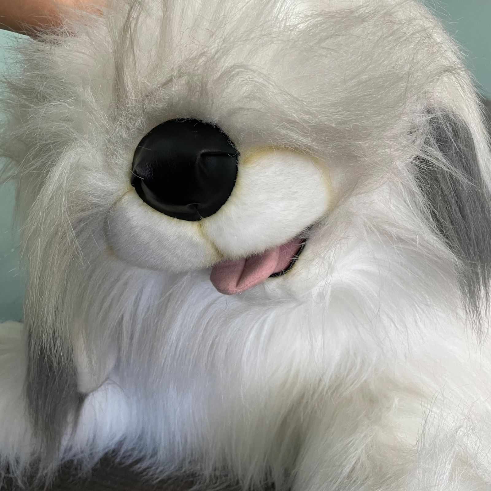 ♭ 特大 オールドイングリッシュシープドック ぬいぐるみ 全長130cm 犬