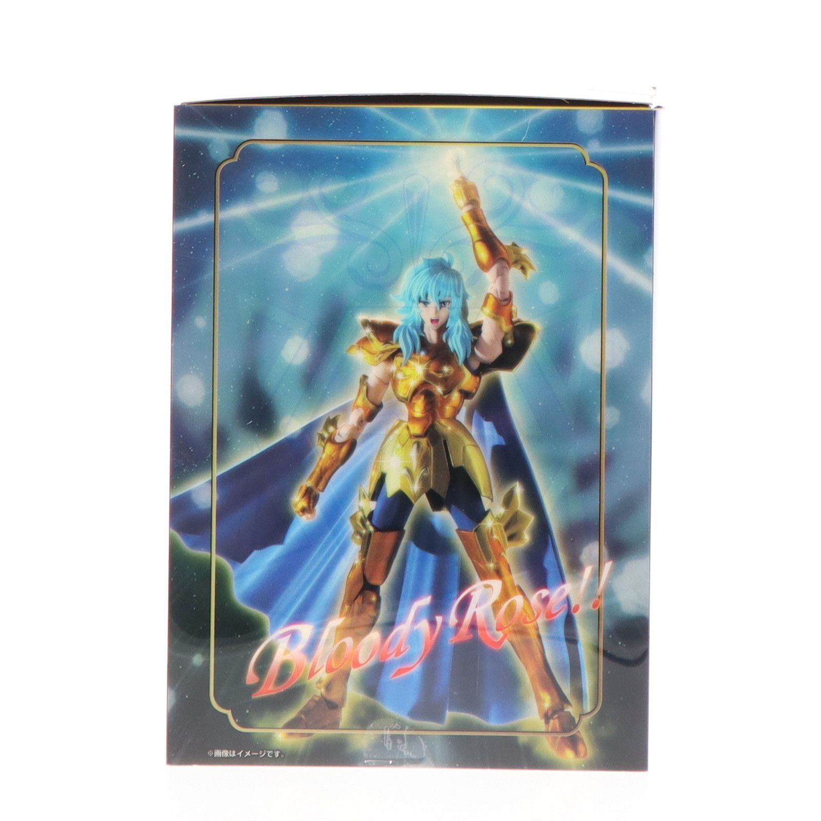 再販) TAMASHII NATIONS STORE限定 聖闘士聖衣神話EX ピスケス