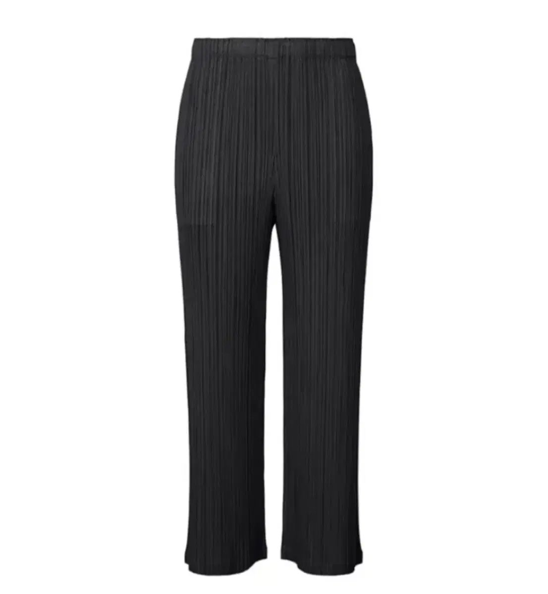 PLEATS PLEASE プリーツプリーズ 24 年 2 月 毎月 パンツ