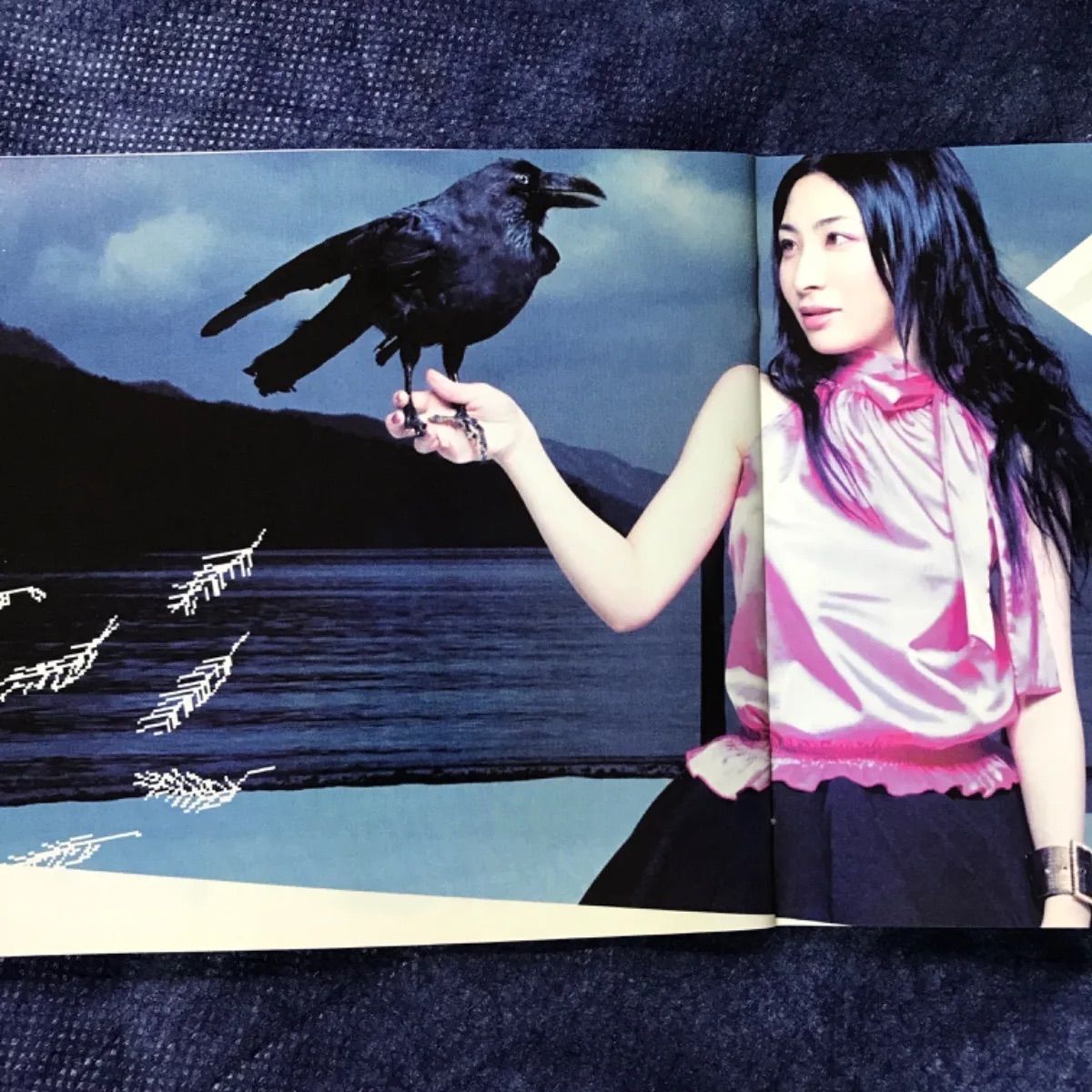 坂本真綾「ルーシー」 - メルカリ