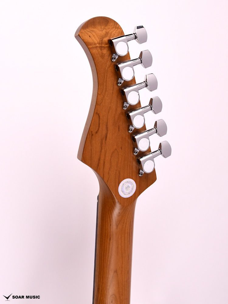 バッカス ストラトローステッドメイプル指板 おまけ多数！希少