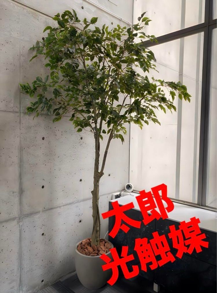 光触媒 人工観葉植物 ウォールグリーン フェイクグリーン 光触媒 人工観葉植物 ウォールグリーン フェイクグリーン