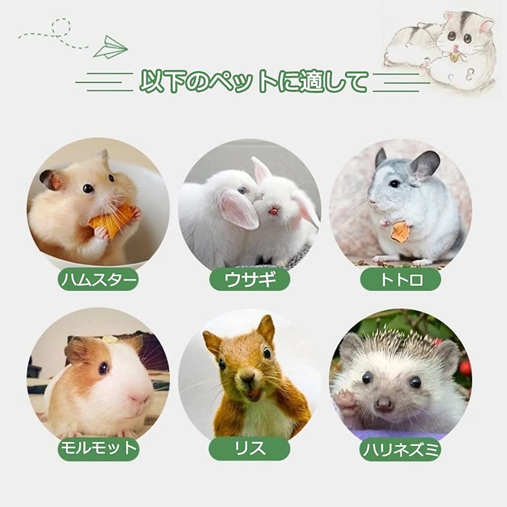 ハムスター