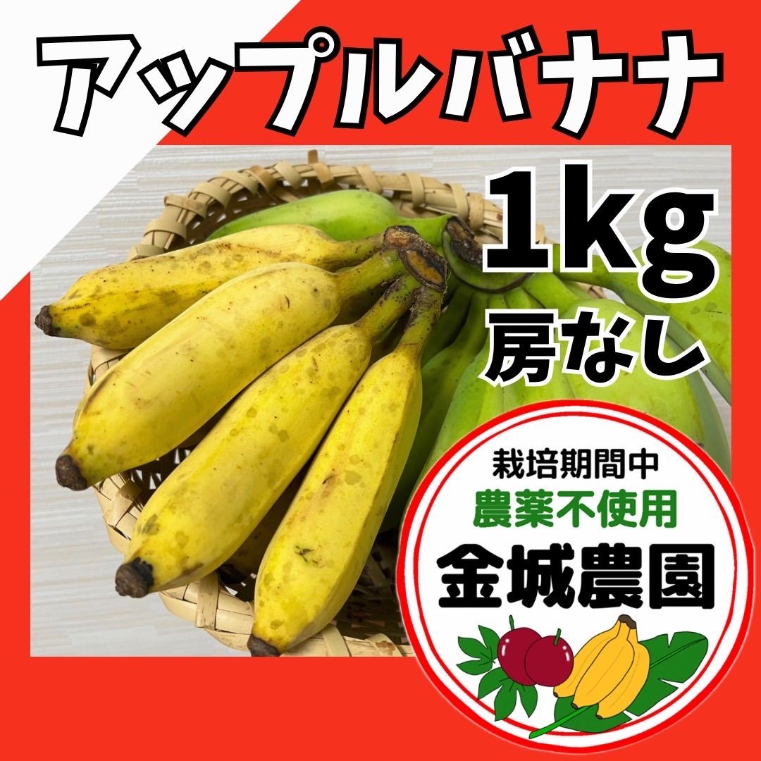 大人気！沖縄県産 アップルバナナ 無農薬 1kg