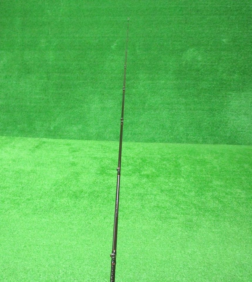 SC C66M|ML-SV