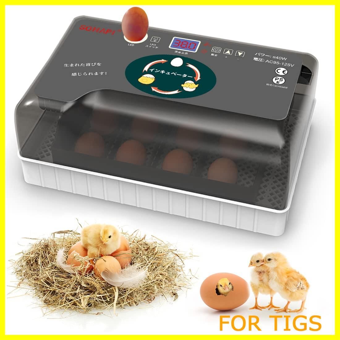 オカメインコ 赤栗穂 A 級 B級 C級 お問い合わせページ 粟の穂 インコ