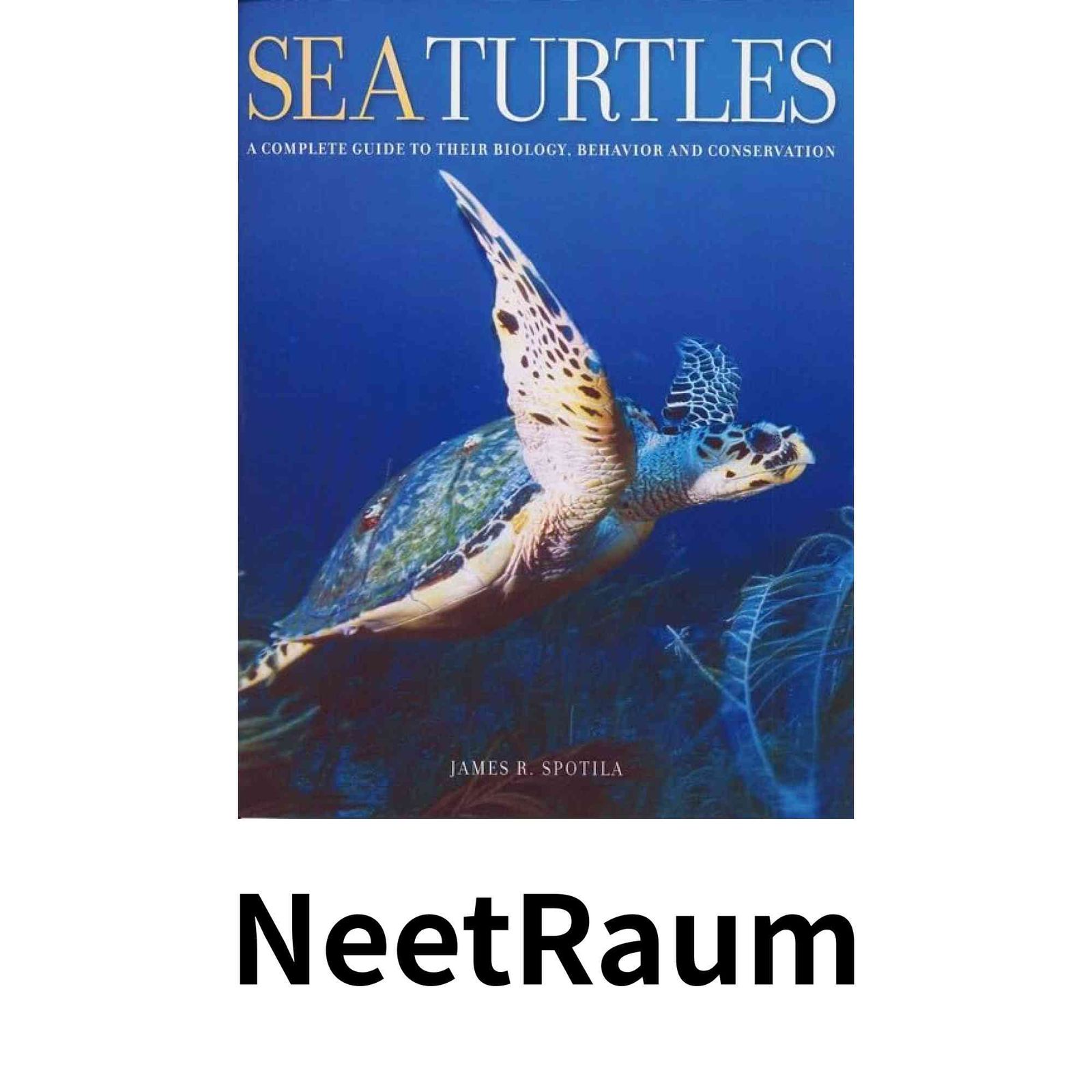 Sea Turtles: A Complete Guide to Their Biology, Behavior, and