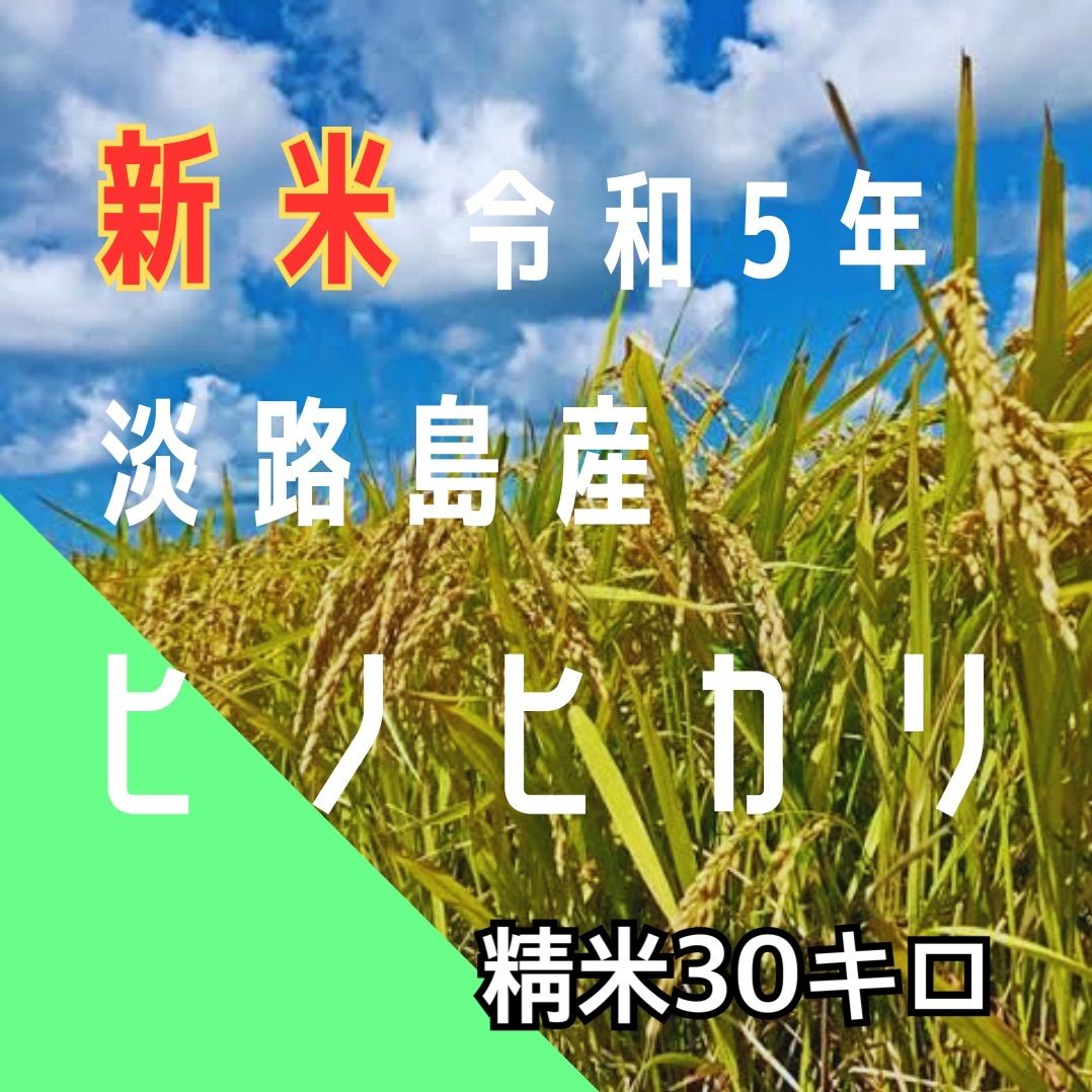 新米 令和5年産 ヒノヒカリ精米30キロ 淡路島産 産地直送