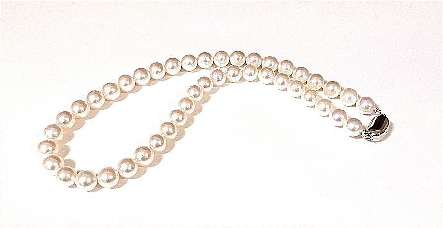 タイムセール）昨年の2～3倍前後に 現品のみ超破格値にて提供  