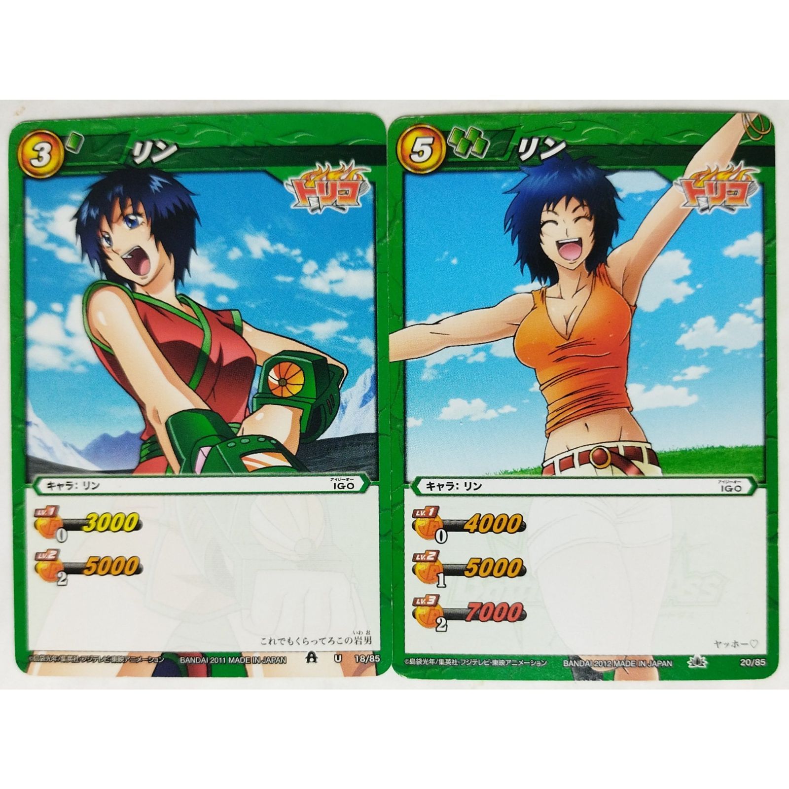 リン 18/85 20/85 トリコ ミラクルバトルカードダス 2枚