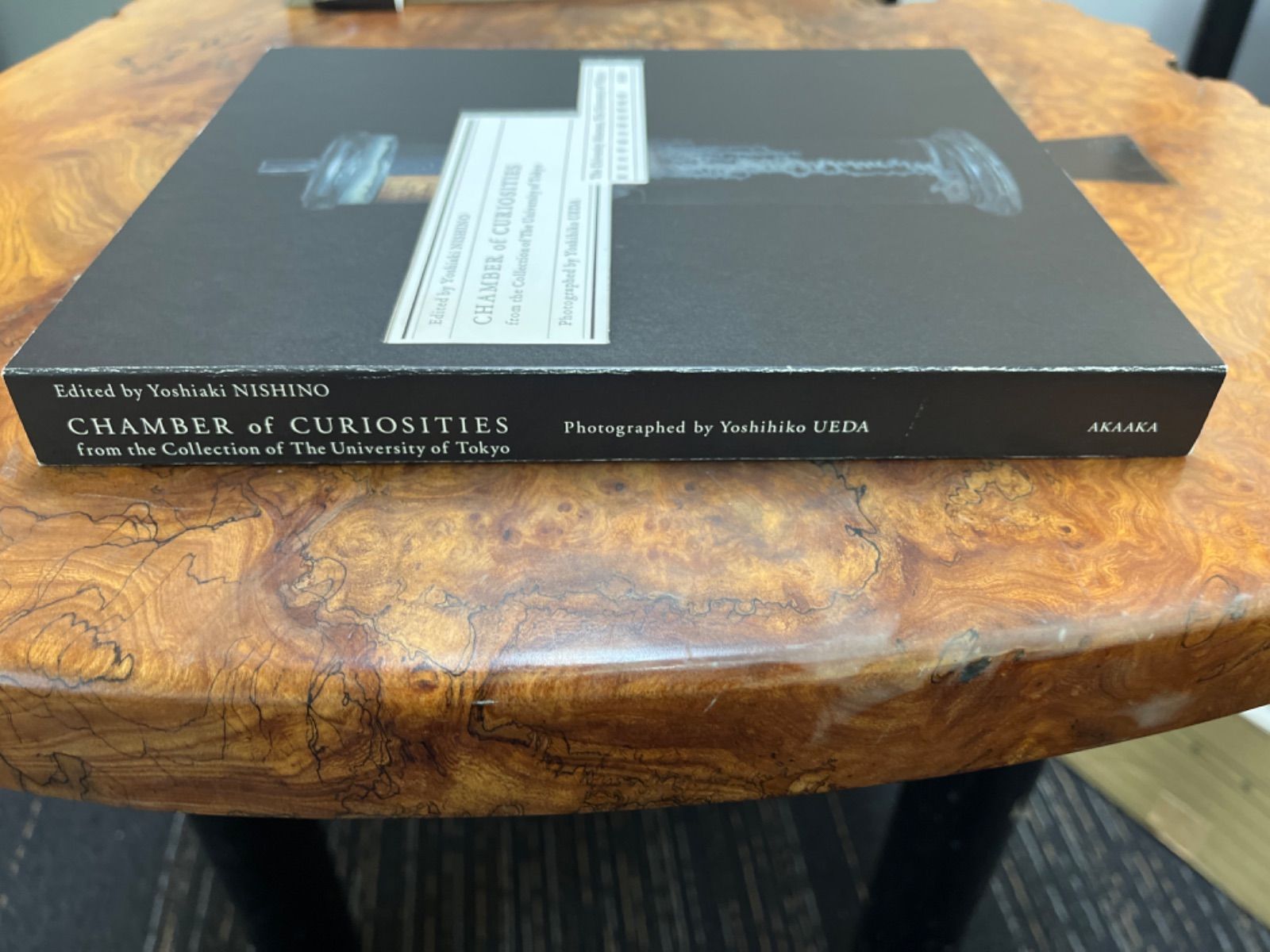上田義彦 CHAMBER of CURIOSITIES CHAMBER of CURIOSITIES - from the Collection of The