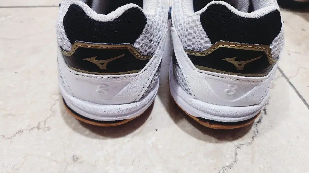 卓球バドミントン スポーツ大学入試