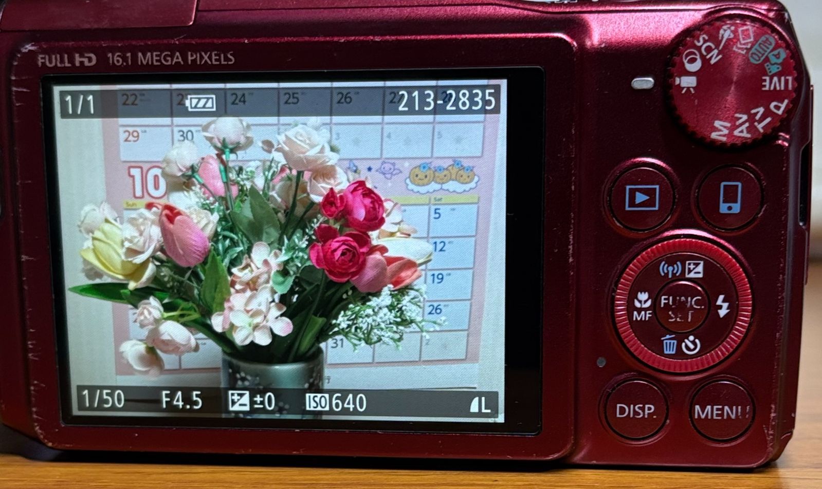 Canon PowerShot SX700 IS 16.1MP 30x Full HD/Wi-Fi 充電器