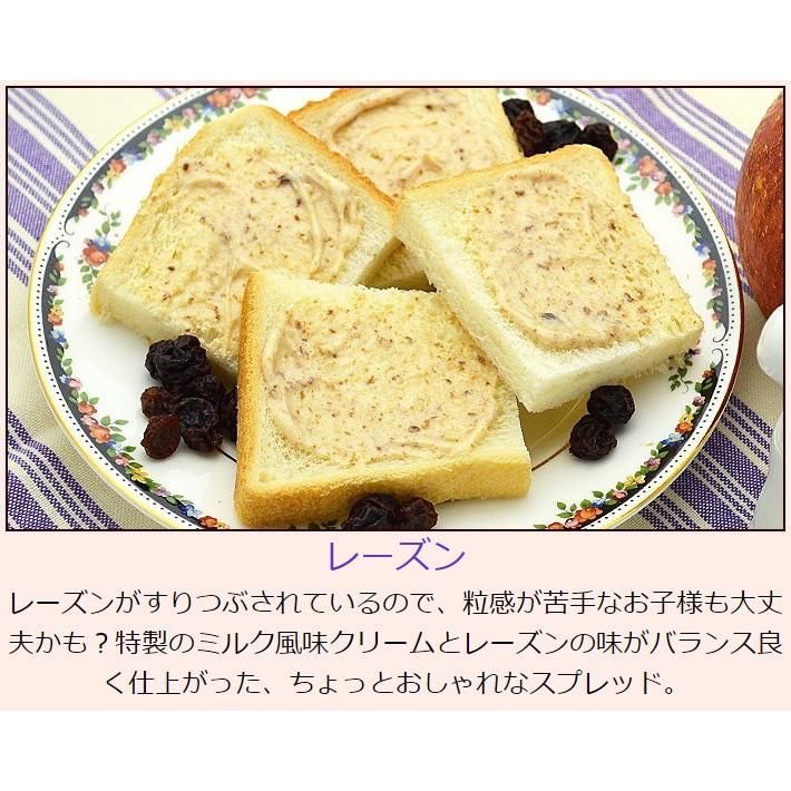 【デキシー レーズンクリーム スプレッド 10g×40ヶ】お取り寄せ お試し おためし 学校 給食