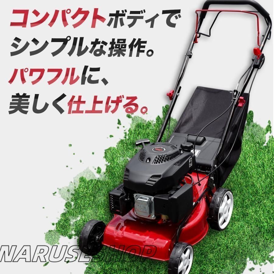 芝生