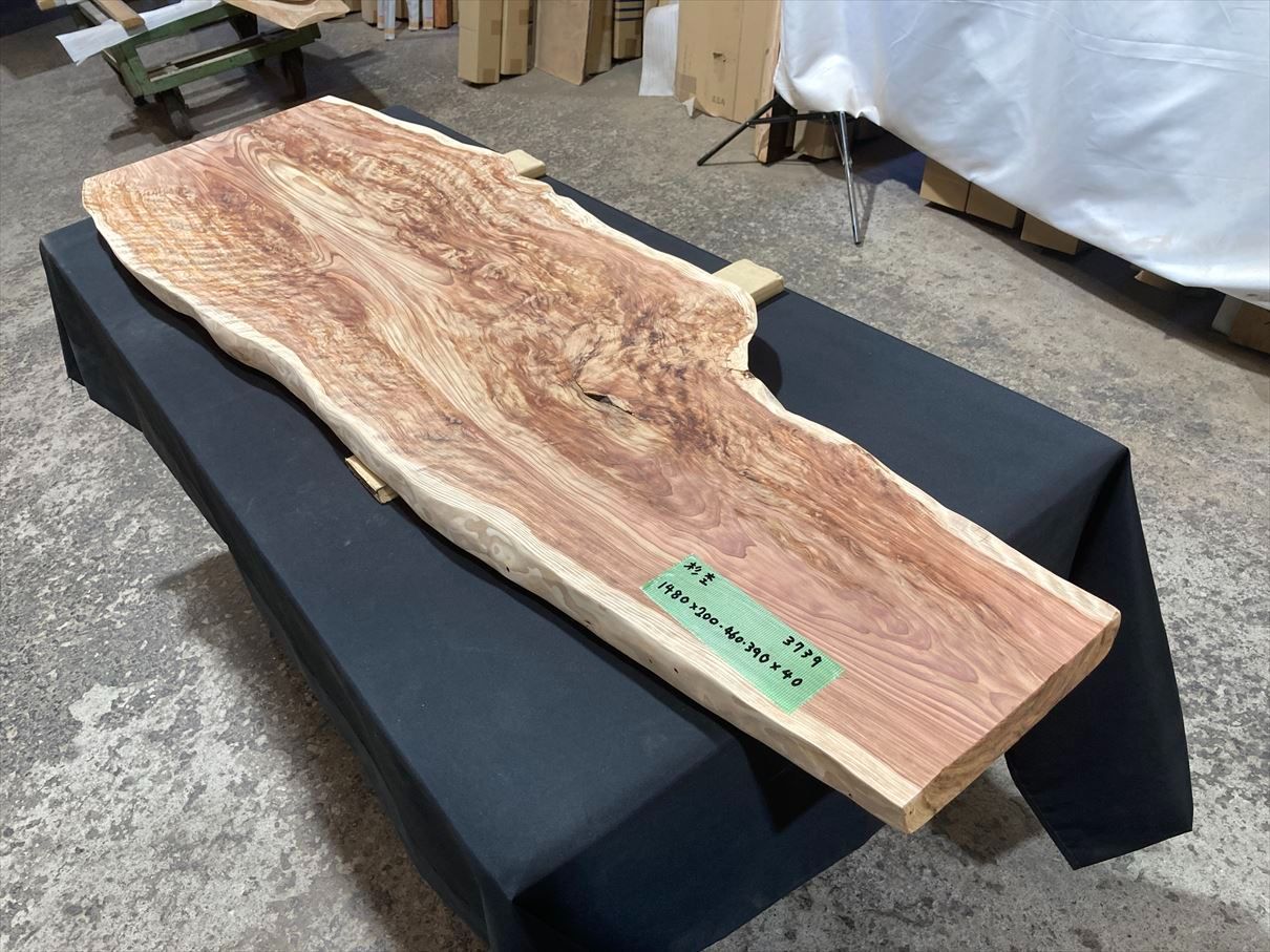 杉杢3739　縮杢　良杢　斜木　輪切り　無塗装　1480x200‐460‐390x40　花台　スツール　棚　インテリア　特殊杢　木目　銘木