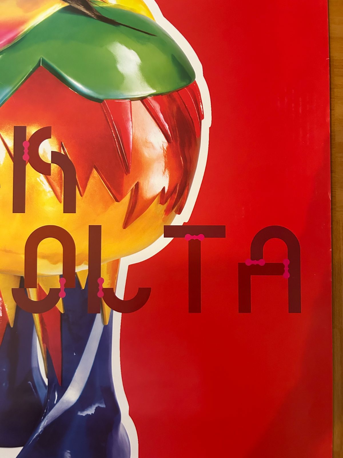 Bjork/ビョーク/Volta 2007/ポスター BJORK Volta Poster