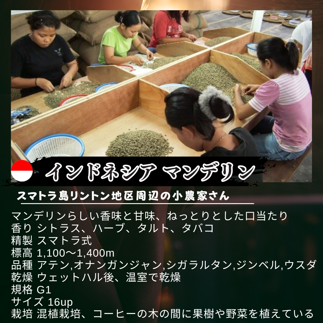 700円代商品1つ含めて全商品対象 選べる３種類 新鮮厳選 炭火自家焙煎コーヒー豆 100g×3袋 可愛い猫柄 ねこのめ珈琲 ハンドピック済 お土産用にもどうぞ