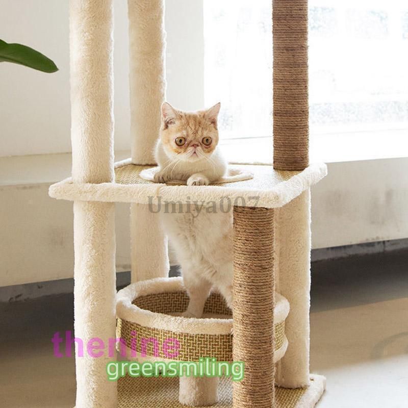 頑丈