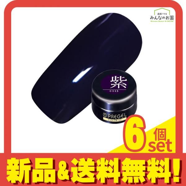 PREGEL(プリジェル) カラーEX  PG-CE115 紫 パープル 4g 6個セット まとめ売り