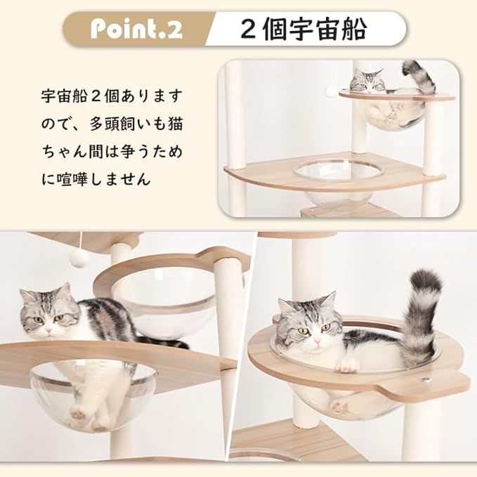 爪とぎ