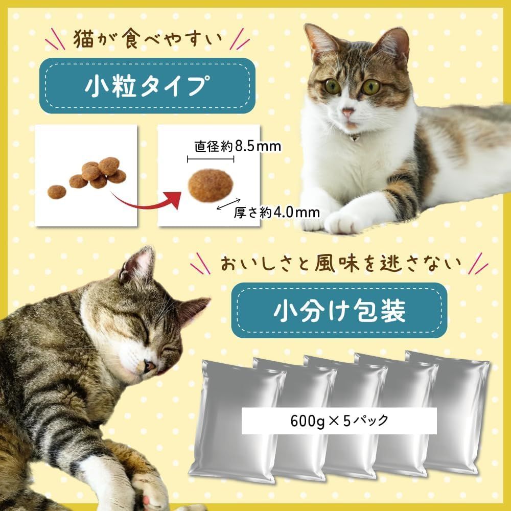 尿路ケア