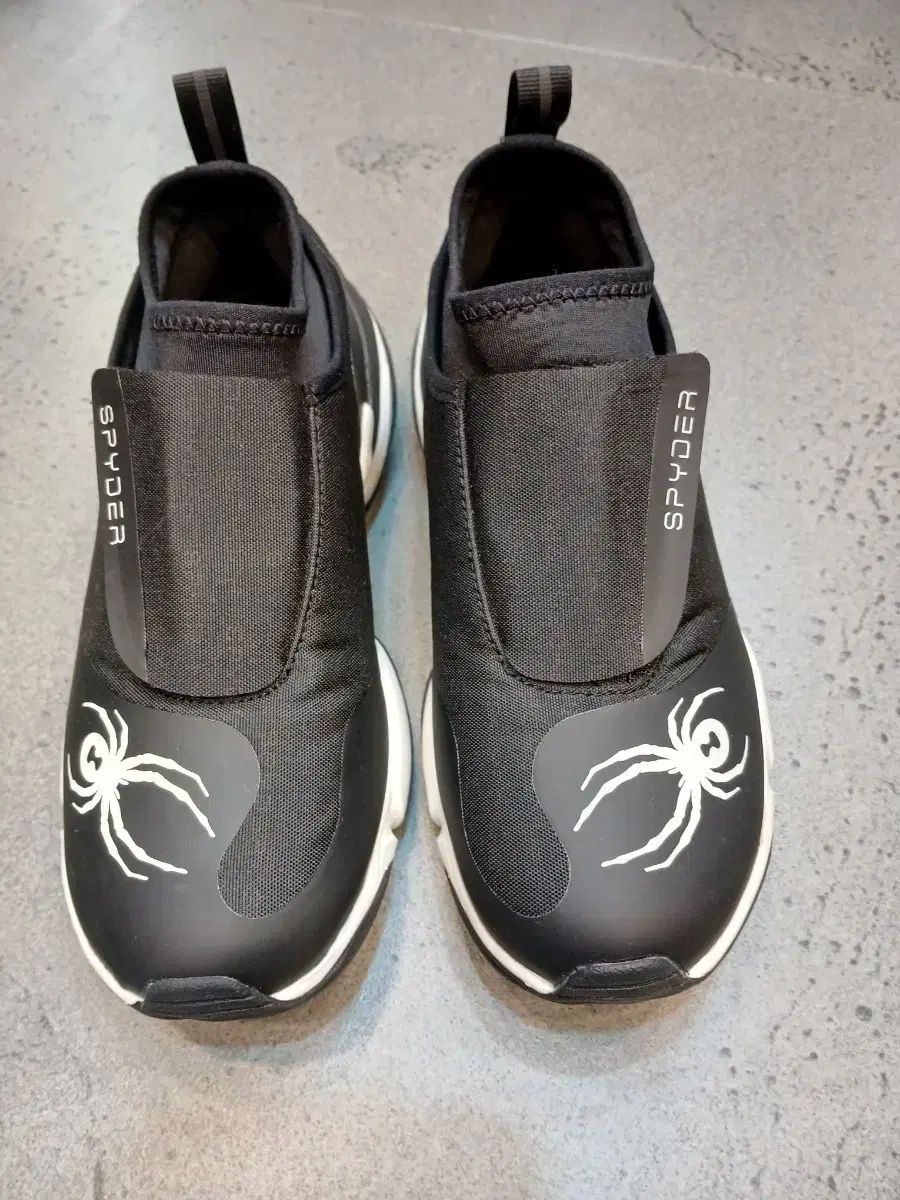 スパイダー