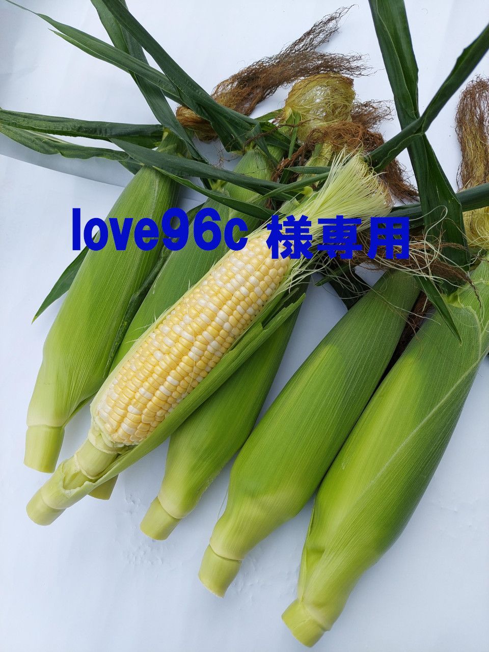 1ove96c様専用画面です。 信州産 朝採りとうもろこし(ドルチェ 1ove96c様専用画面です。 信州産 朝採りとうもろこし(ドルチェ