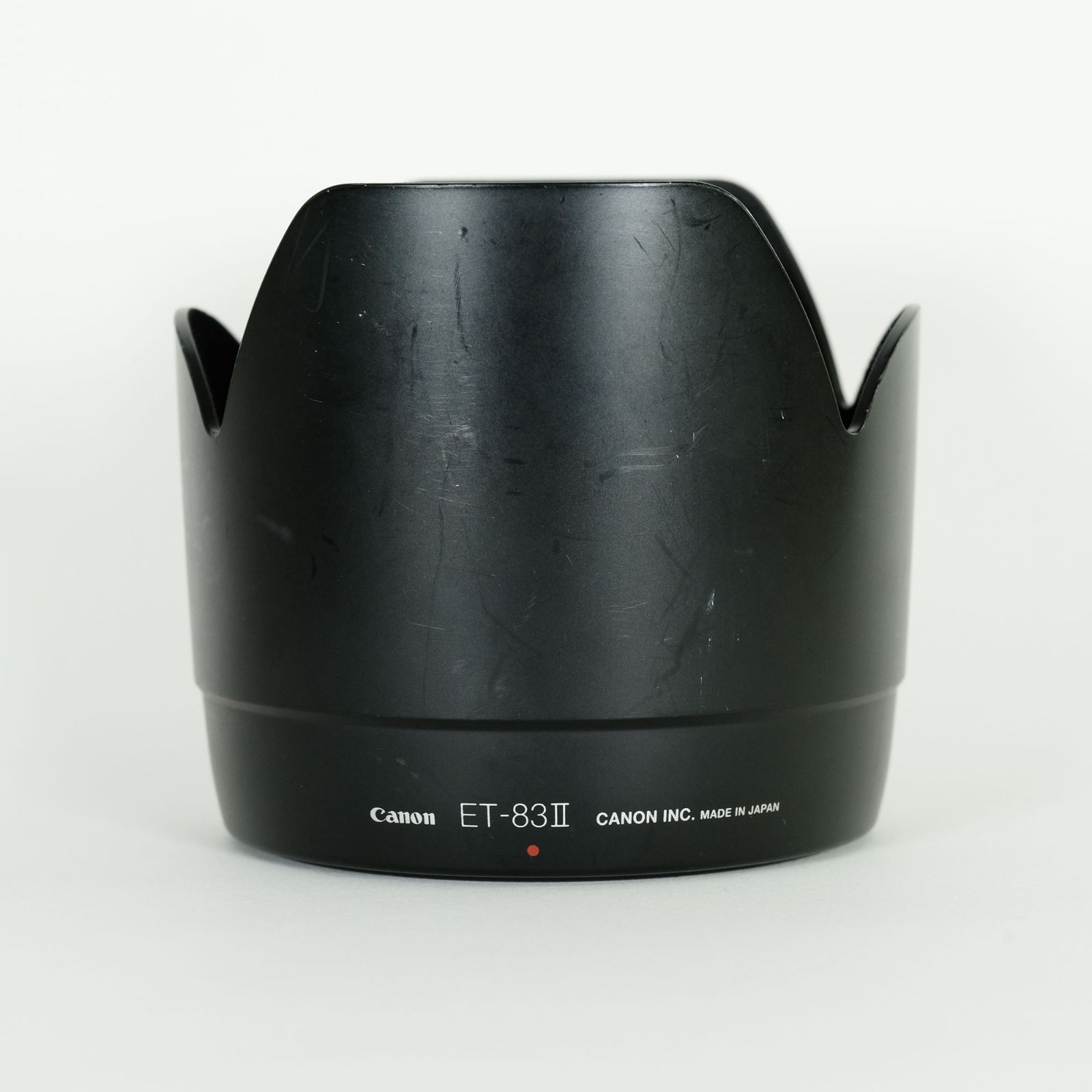 DMC-TX1