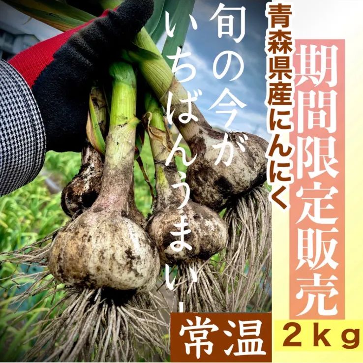 高品質◎今季収穫生にんにく玉2キロ24玉~28玉