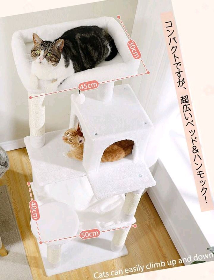 ねこハウス