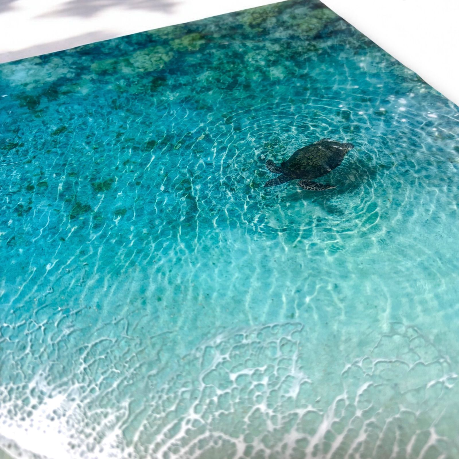 1m特大ボード <珊瑚と海亀>超立体 沖縄の海 無味 レジンアートボード